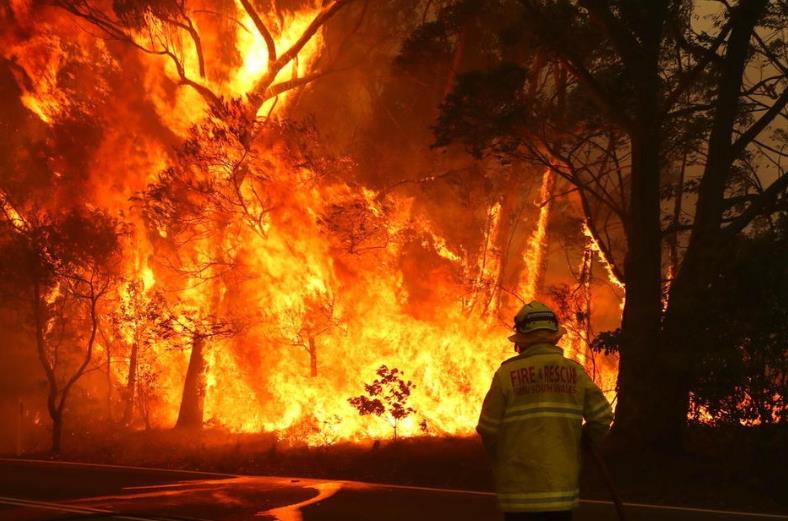 大火还在烧，澳总理打鸡血：公务员消防志愿者每年有额外4周年假