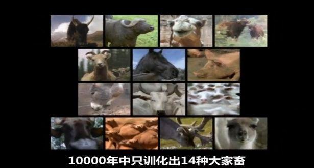 这次疫情让世界明白中国的重要性,到今天疫情怎么样了