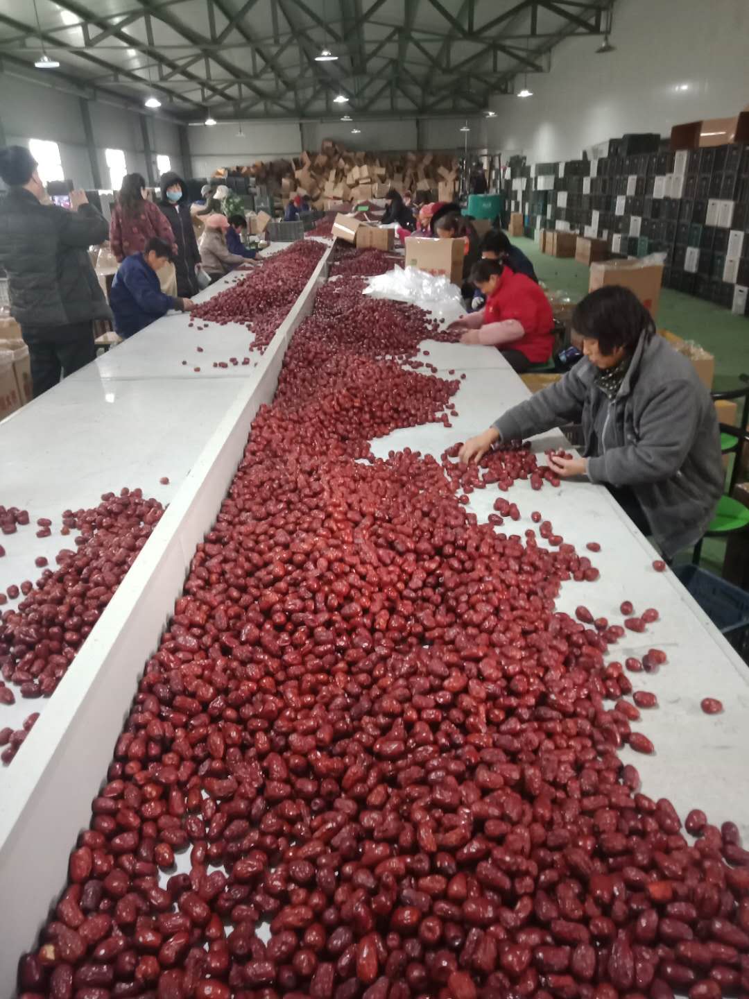 世间有和田枣，我就是吃不厌