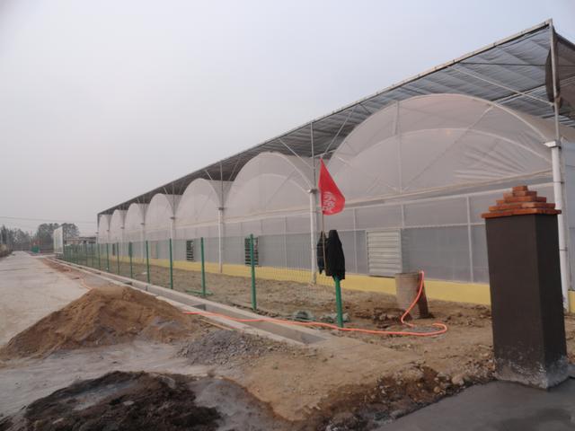 连栋温室玻璃大棚一亩地多少钱,3000平连栋温室大棚价格