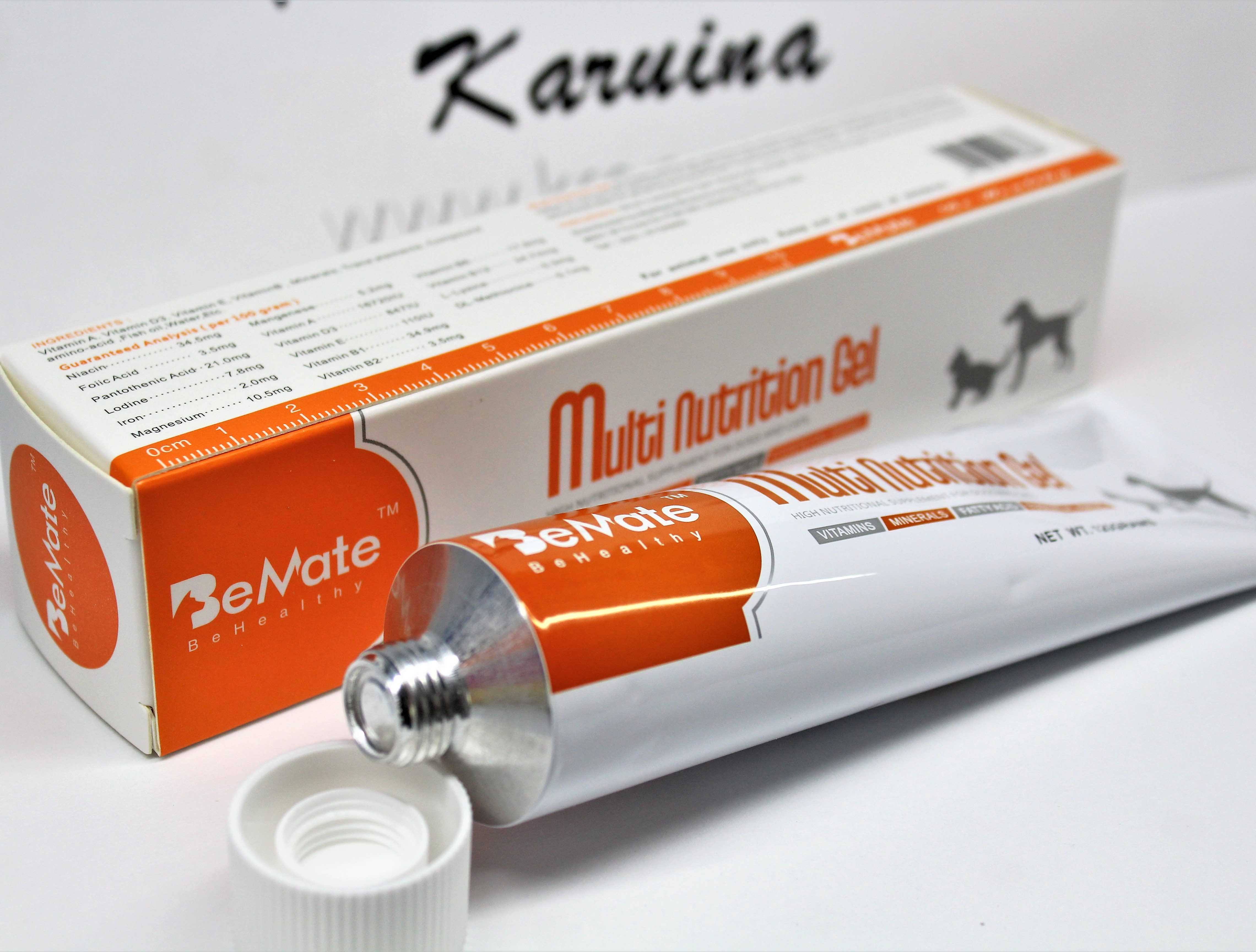 养巴哥犬需要注意什么细节,饲养巴哥犬需要注意这几件事