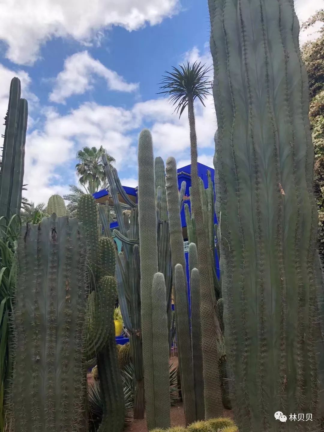 摩洛哥10天,摩洛哥12天瘦5斤减肥成功案例