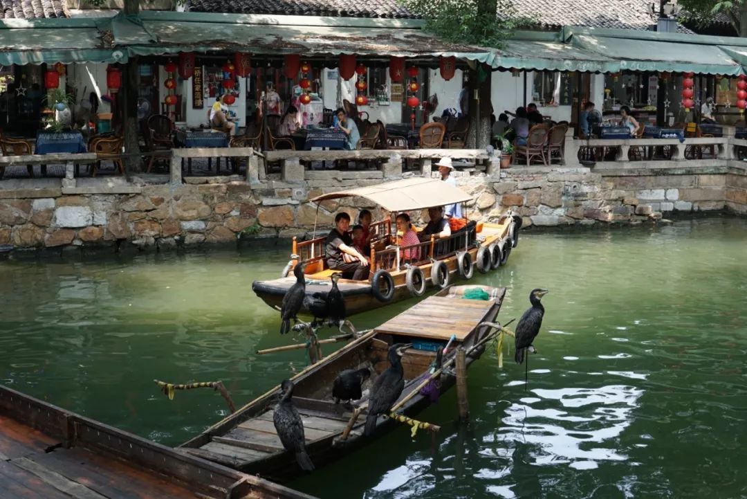 同里古镇值得去么,同里古镇值得去吗