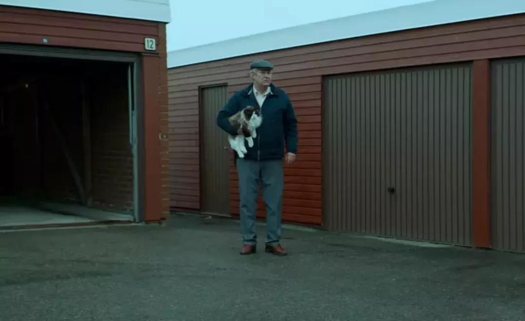 主人们不在家猫咪是怎么生活的,猫咪主人不在时猫咪有什么表现