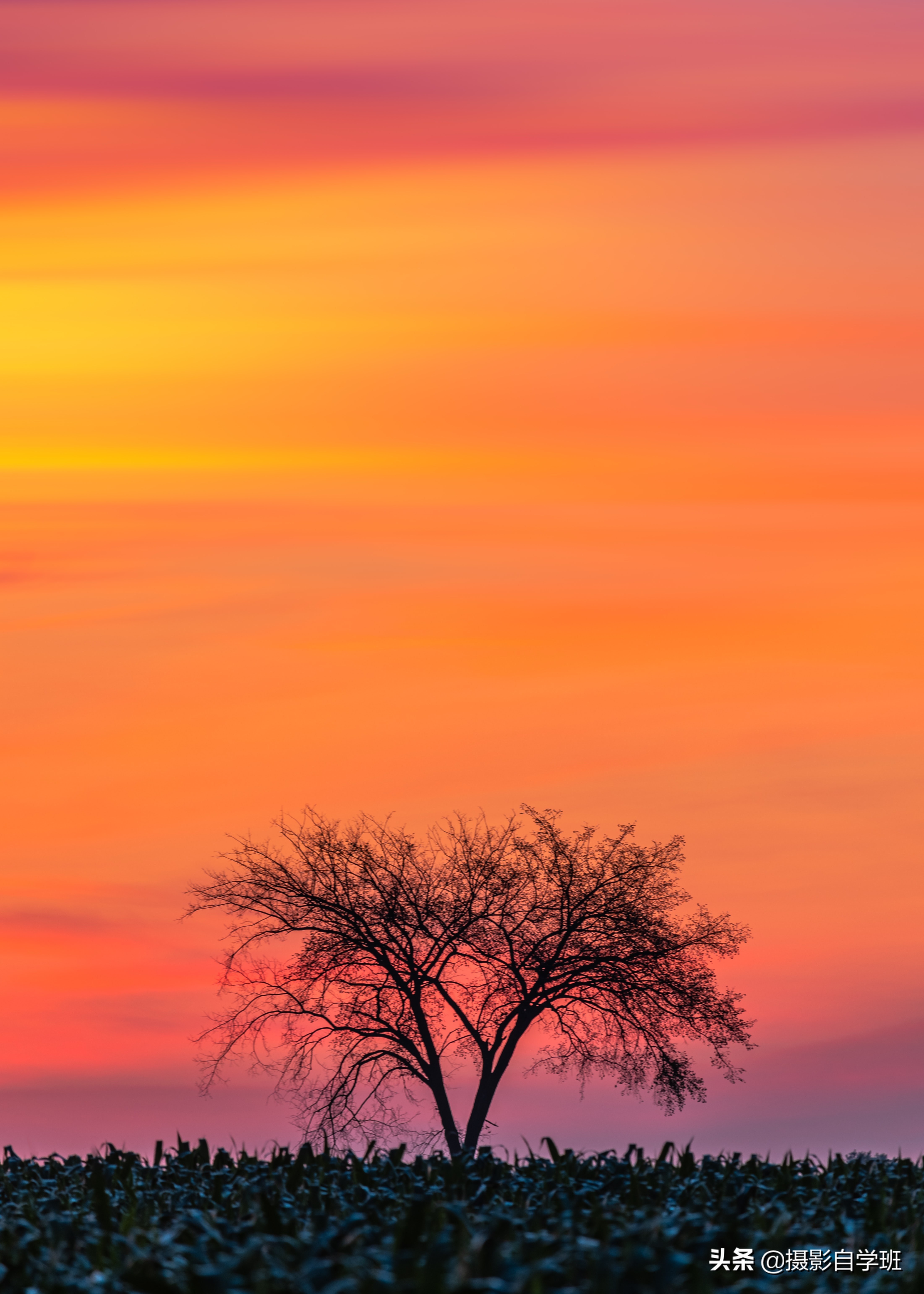 关于风景拍摄的摄影技巧,风光摄影的拍摄技巧