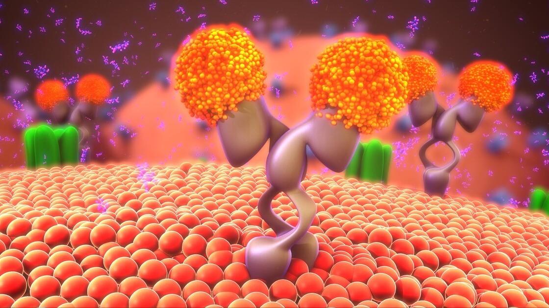 用激素治疗白癜风见效快吗,儿童白癜风用激素类药膏的危害