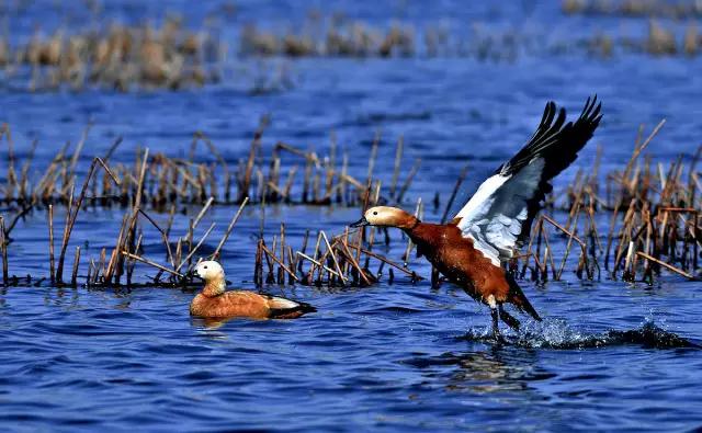 旅拍贵州！邂逅每一帧浪漫风景