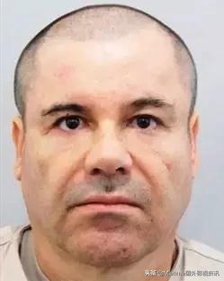 毒枭墨西哥第三季豆瓣,毒枭墨西哥全部剧集