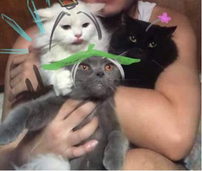 剑三收到黑金被封号怎么办,剑网3黑货封号