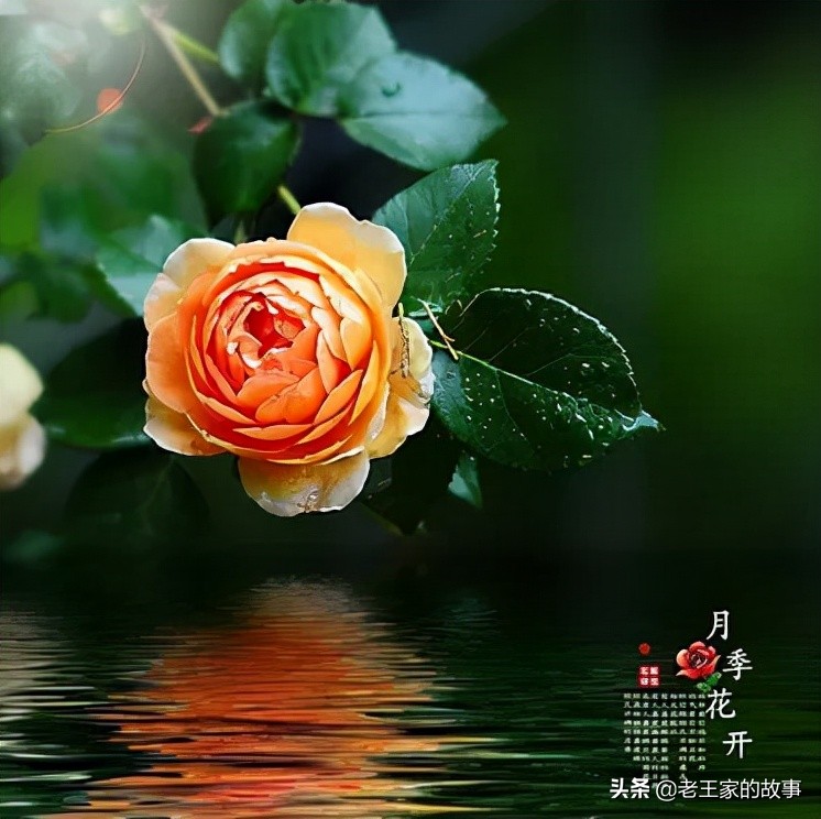 与人交谈的三大忠告,交谈的禁忌行为