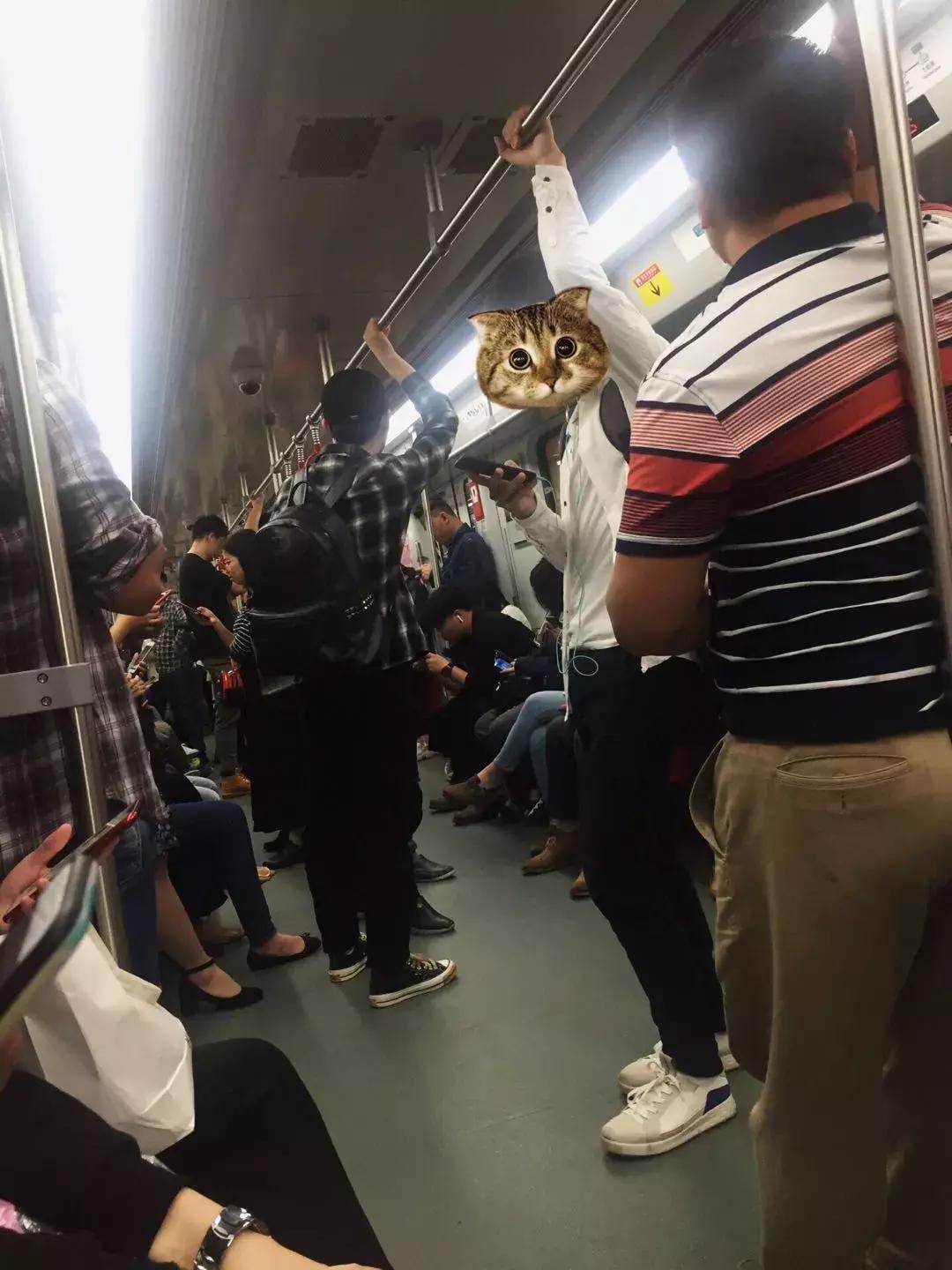 中年男人穿条纹衫,中年男人条纹衫