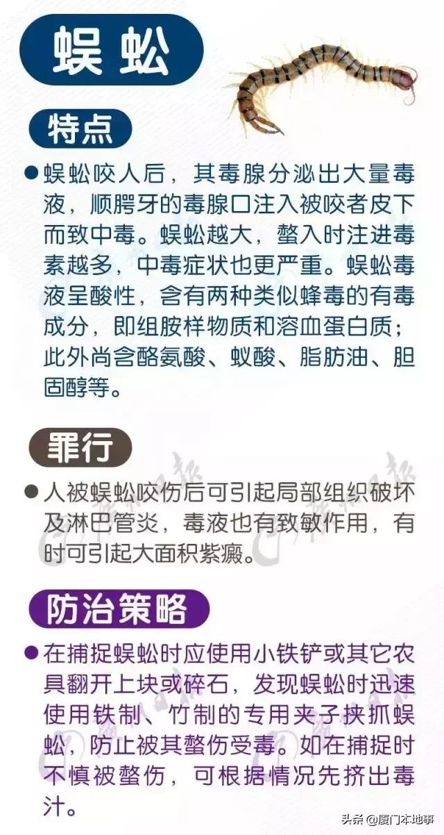 厦门人当心！又有虫子出来惹事！被咬后严重可危及生命