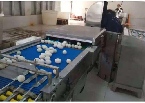 靠卖鸭蛋年入百万,靠卖鸭蛋却能挣上千亿