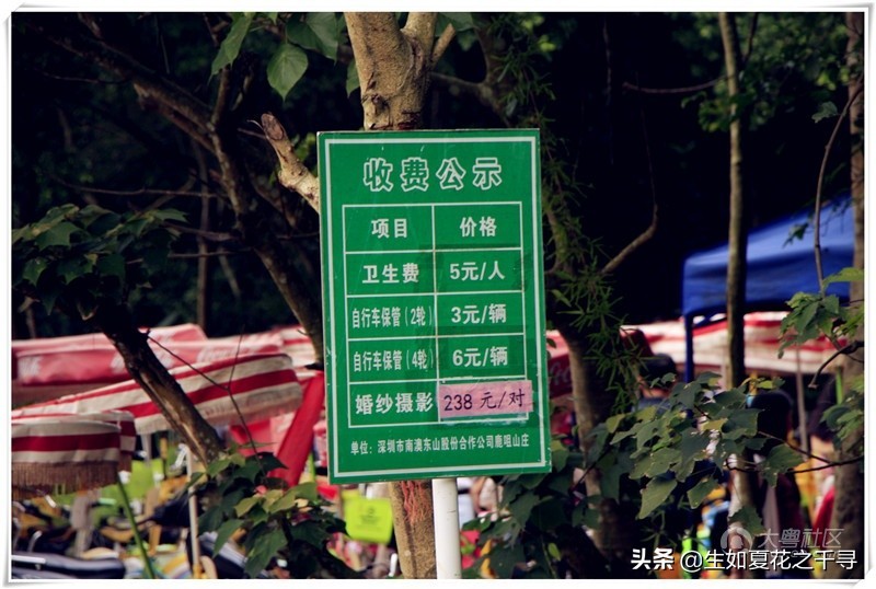 深圳市杨梅坑美人鱼拍摄基地,深圳大鹏杨梅坑美人鱼拍摄地点