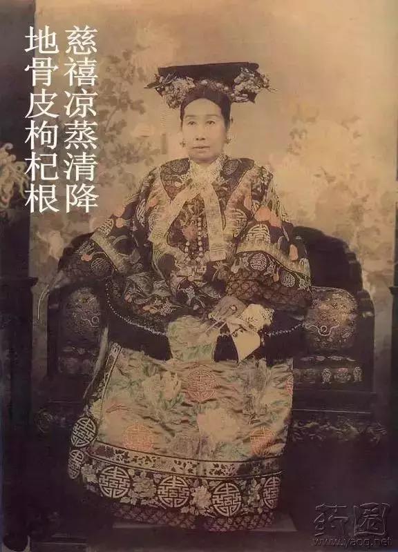 中药地骨皮多少钱一斤,中药地骨皮治什么病