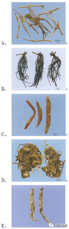 执业药师2021年中药一真题,执业药师中药一考题解析