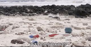 彭于晏苏有朋,彭于晏和苏有朋