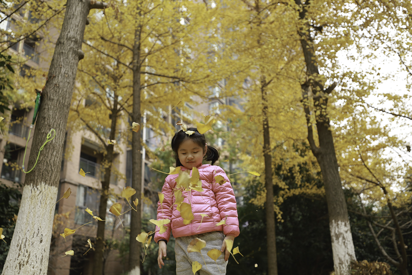 佳能无反相机全画幅,佳能rf14-35与15-35横向对比测评