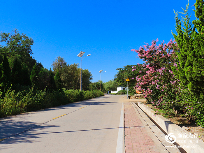大连哈仙岛旅游攻略方案3天2夜,哈仙岛旅游几月份去最好
