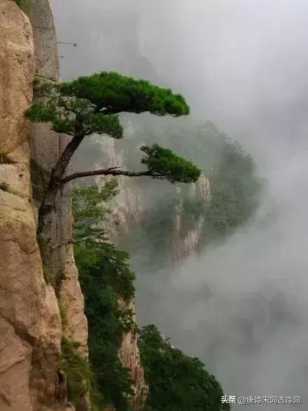 感慨人生艰难的诗句,感慨生活不易但励志的诗词