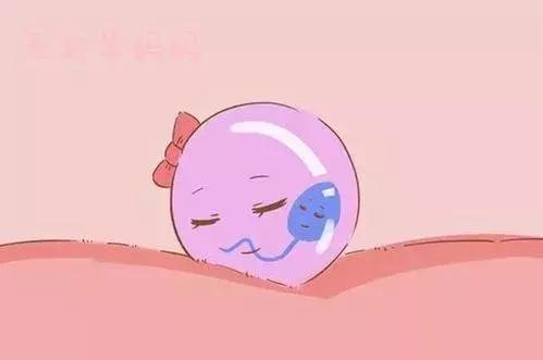 备孕中受孕着床有什么感觉,备孕期间受孕成功有什么表现