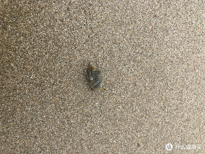 泰国萨瓦迪卡旅行攻略,泰国萨瓦迪卡旅行记