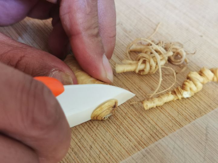 生晒参怎么烘干,生晒参怎样保管不生虫