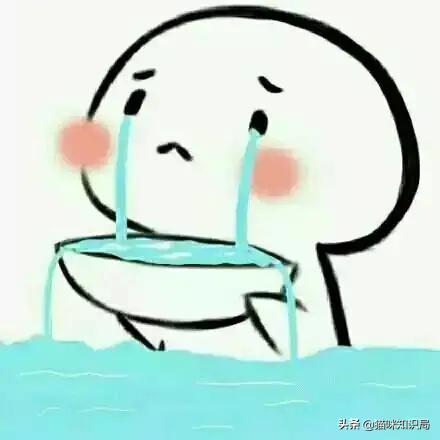 营养膏有营养吗,好吃又不贵的猫粮营养膏