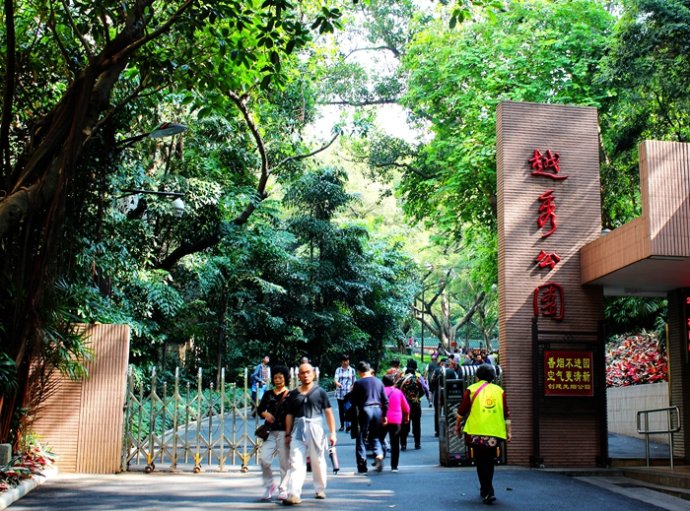 广东人对鸡情有独钟什么意思,为啥广东人喜欢吃鸡鸭鹅