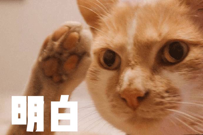 淘宝神器推荐,淘宝懒人软件多少钱