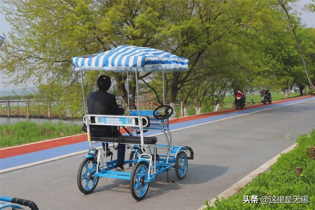 无锡网红打卡地太湖明珠大堤,无锡网红打卡地江尖公园