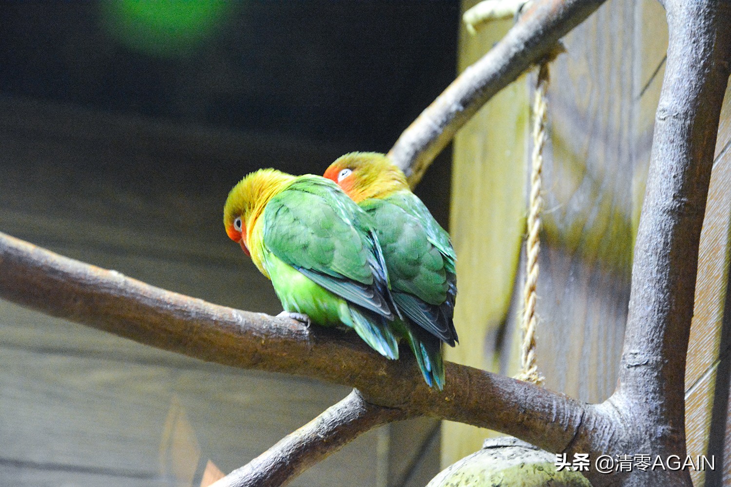 挖掘网红地x另类打卡挪亚方舟的文青路线