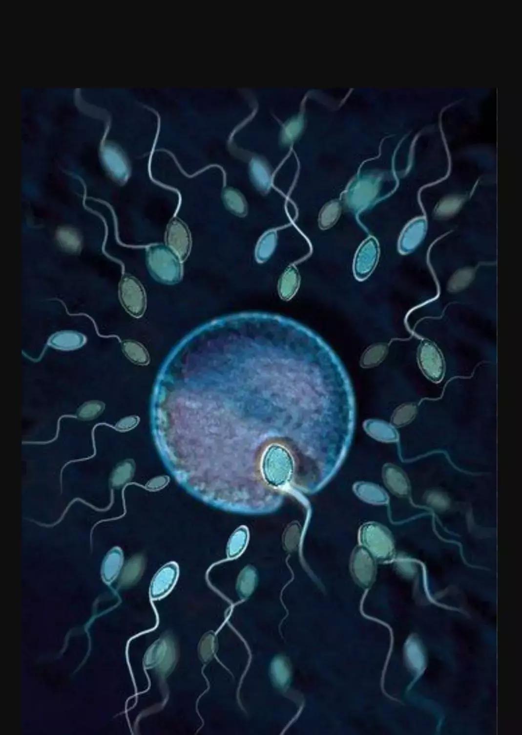 真不是骗你：你赢了所有精子？错！