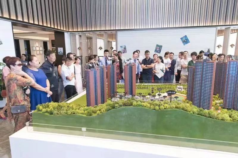 南山科技园发展,南山科技园的崛起