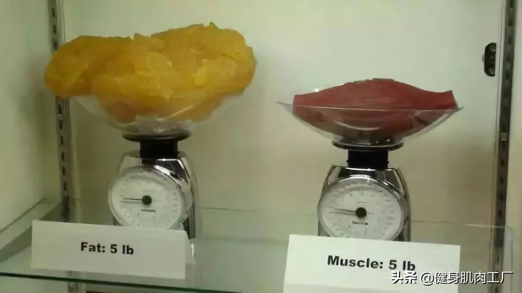 抖音健身达人,抖音中的健身达人