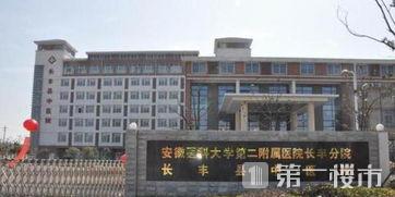 北城医院最新进展,北城新开的医院