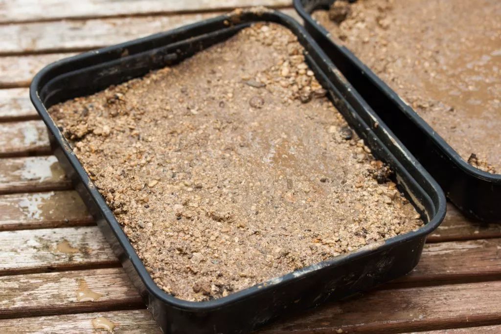 多肉植物如何播种视频教学,多肉植物刚买回来种植方法