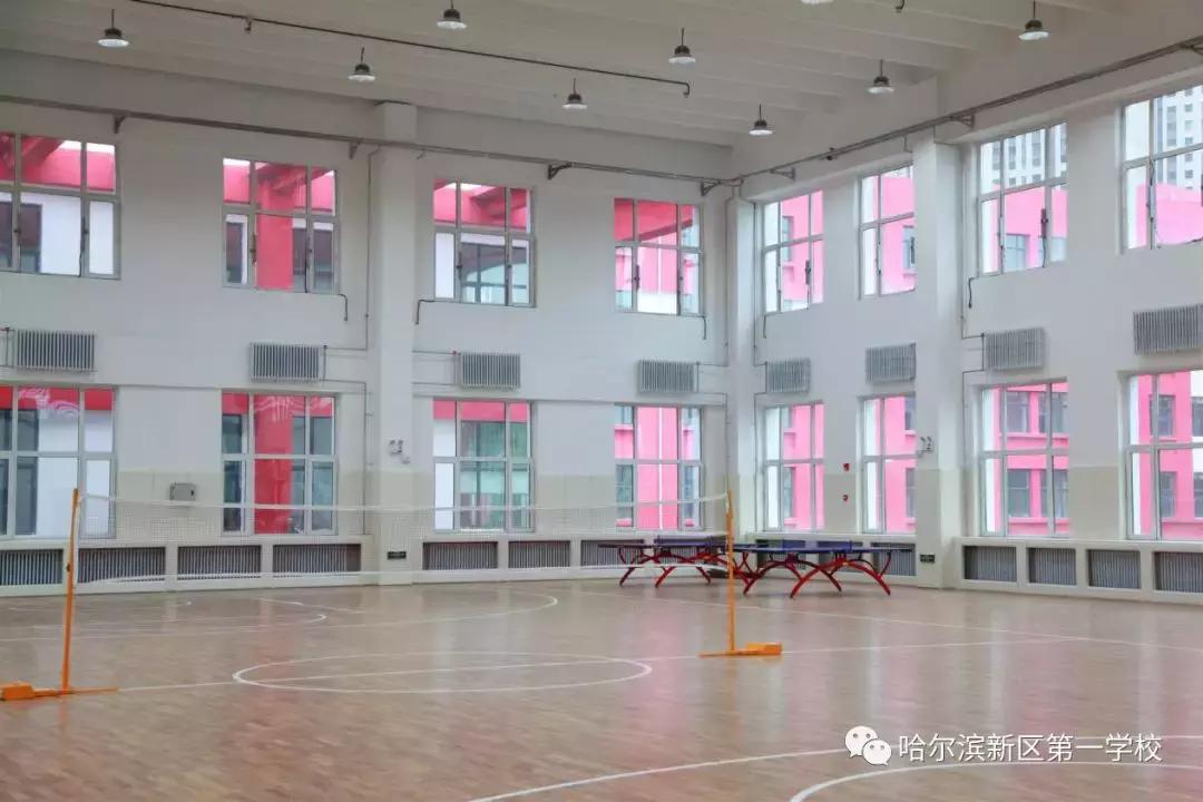 新区好学校,新区好的小学