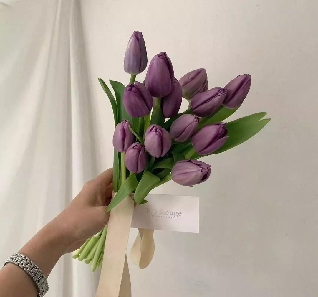 花要不要经常换水,花材正确处理方式及日常养护