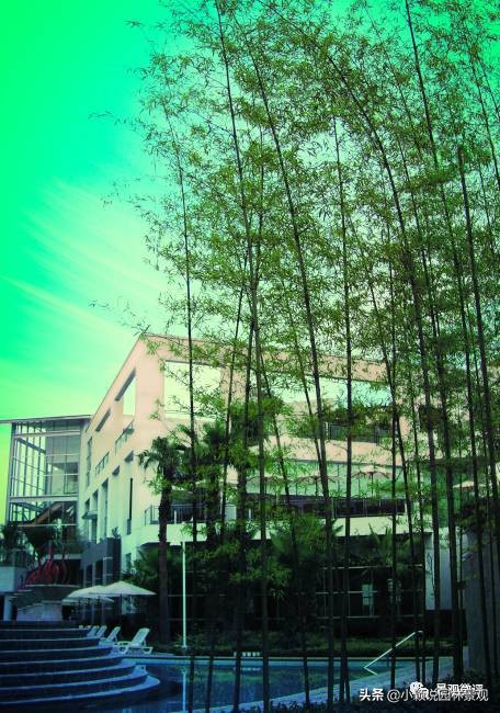 住宅小区植物配置方案,植物种植小技巧一览表图