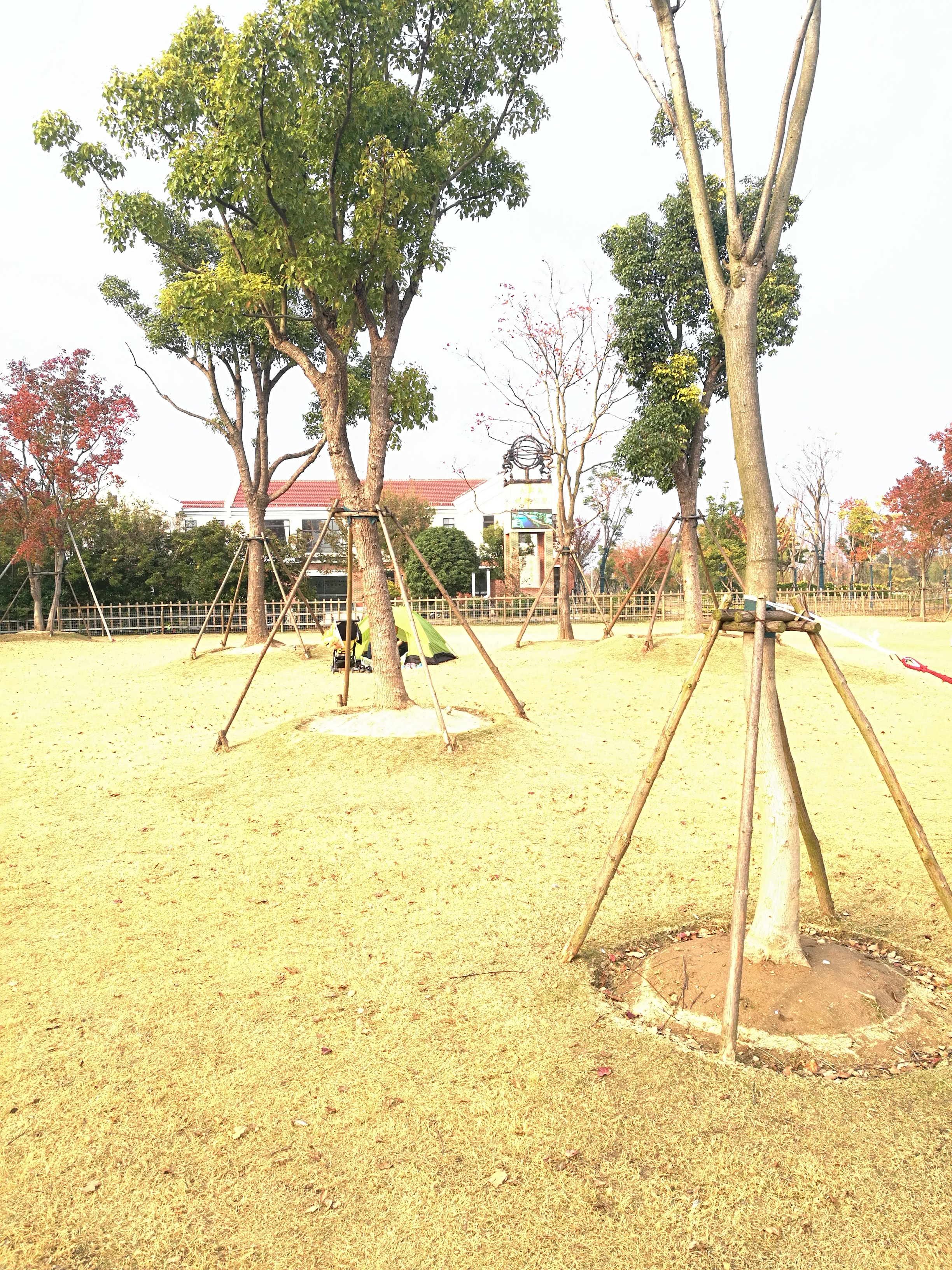 上海崇明岛郊野公园扩建工作,崇明长兴岛公园规划