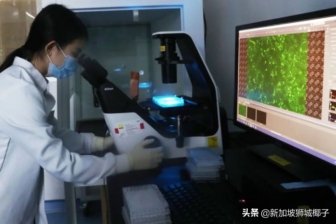 新加坡计算机行业年终奖,新加坡行业薪资排行榜