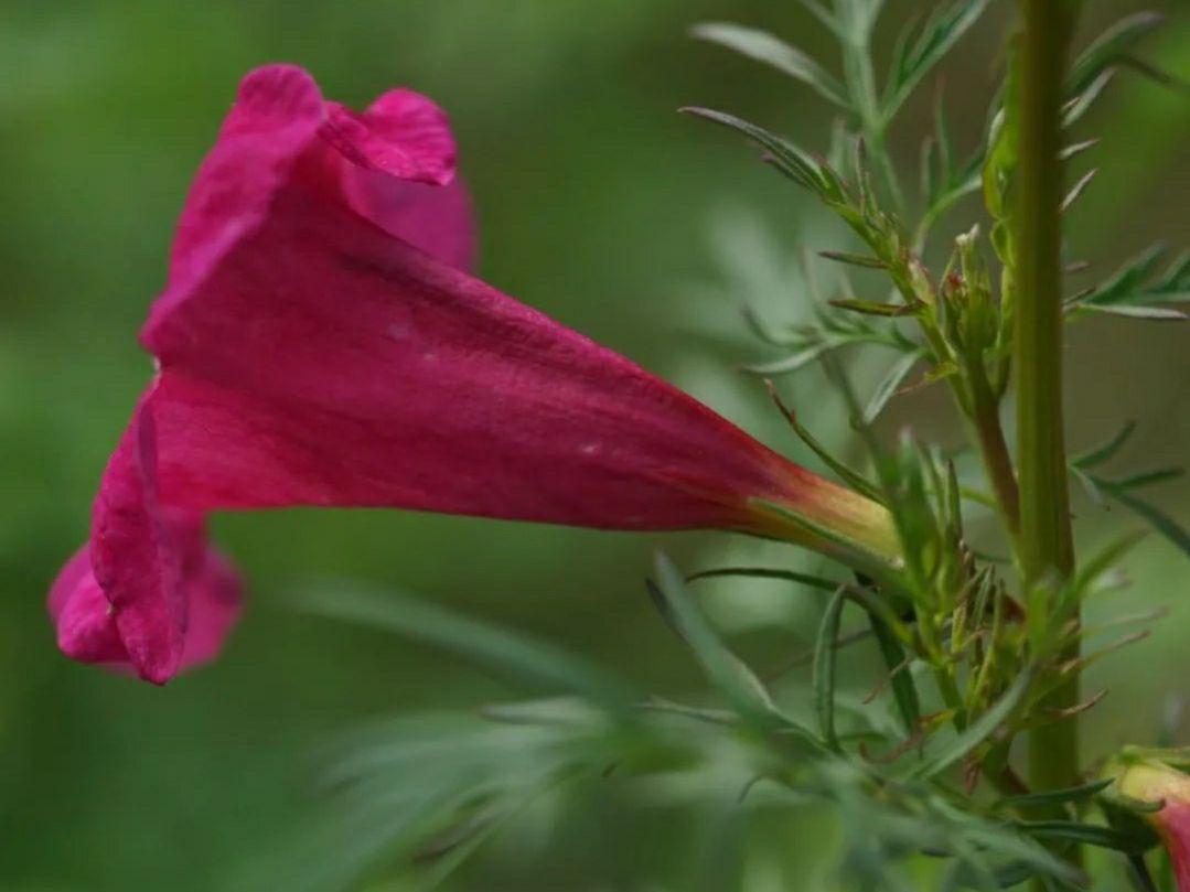 英语必背单词记忆方法,高中英语必背3500个单词记忆方法