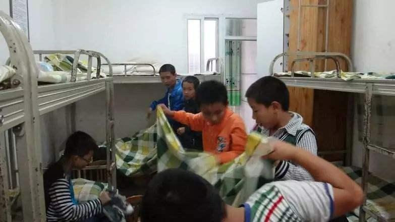 白岩松建议一定不能让孩子住校,白岩松谈住校走读