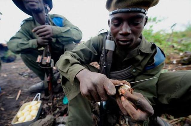 被上帝遗忘的国家,被上帝遗忘的刚果