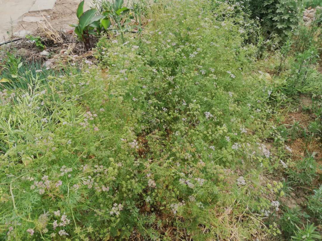 闲着木事儿，你来俺家玩儿呗