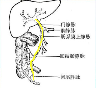 小肚子痛阑尾部位有轻微痛,小阑尾炎的症状