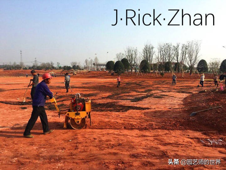 怎么种植草坪不长杂草,如何养好草坪