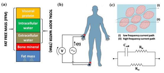为什么体脂秤误差很大,家用体脂秤是否有参考性
