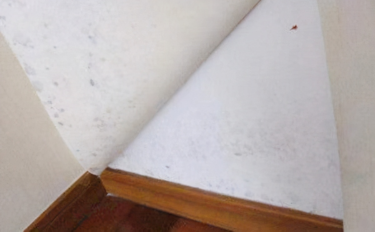 墙面发霉除霉剂,墙面发霉去除生活简单小妙招